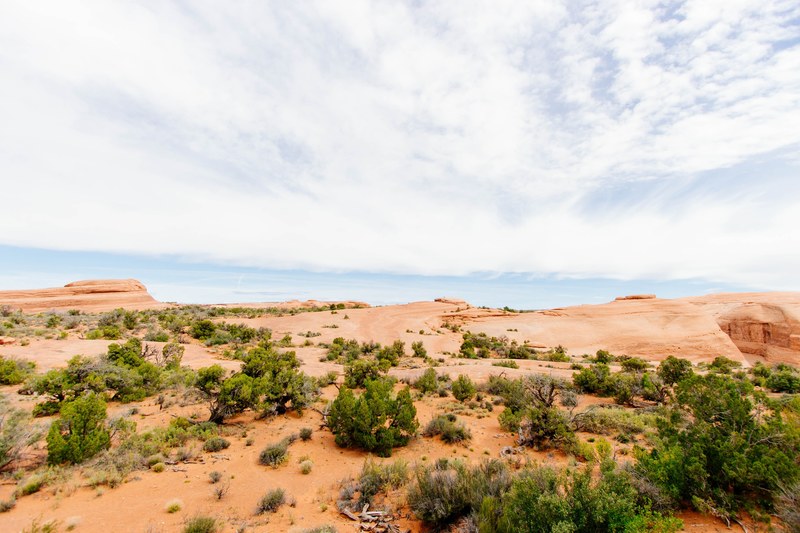 desert shrubs and a sunny sky among dry terrain, shrubs and sky 4k