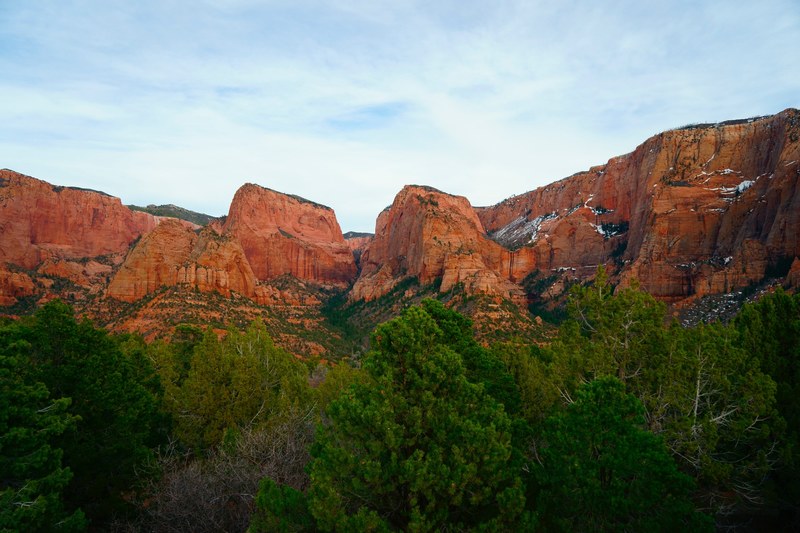 green trees near red cliffs in kolob canyons, sandstone cliffs over trees 4k