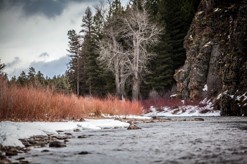 a stream flowing next to tall orange grass and snow near a mountain, a flowing winter stream 4k