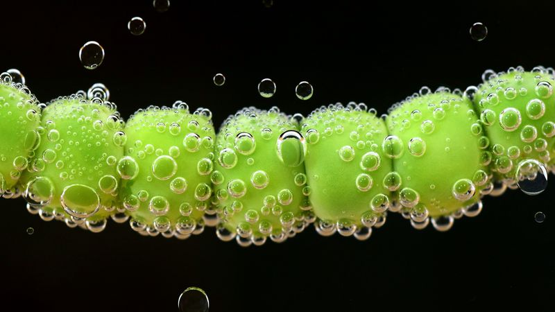 peas, drops, close-up, 4k