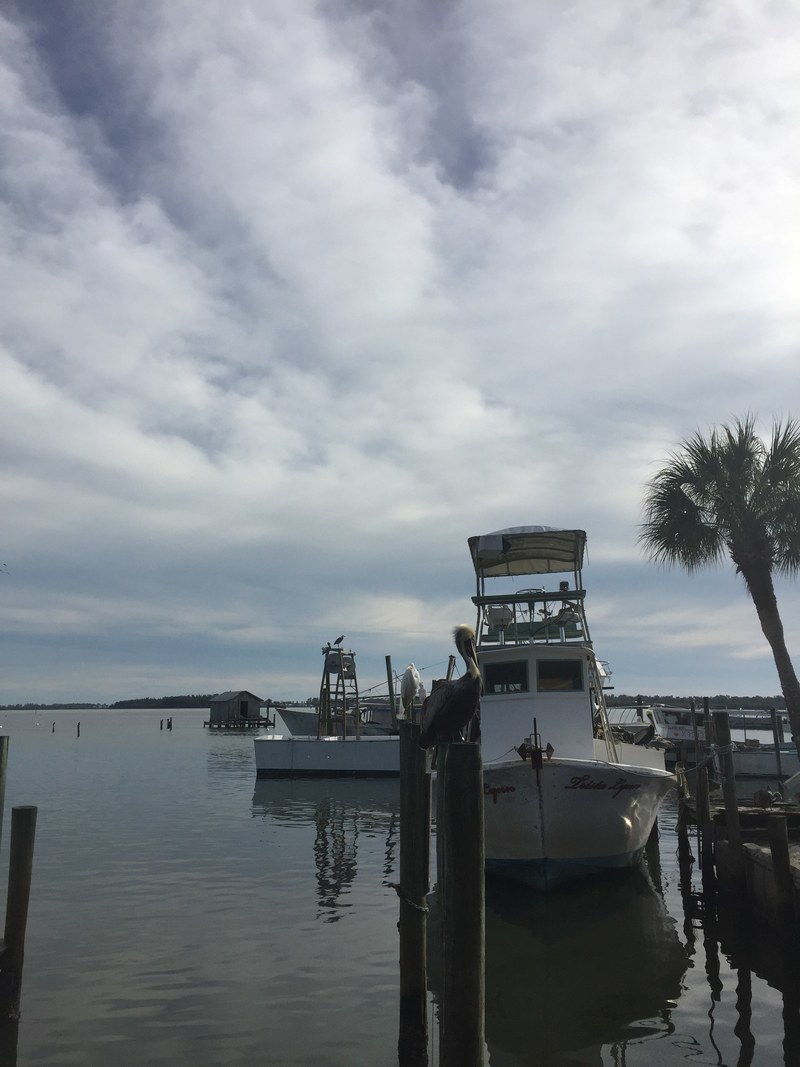 dock fishing village fishing boat and florida hd, 4k