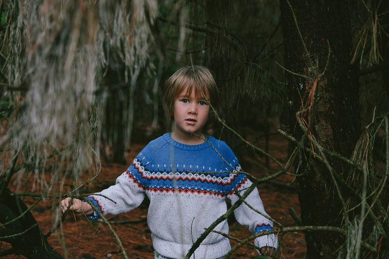 child boy tree and lifestyle 4k