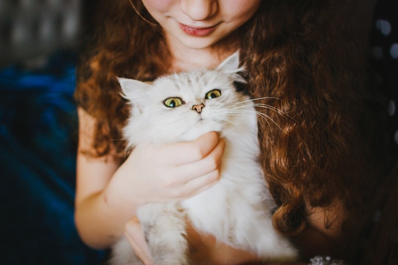 young girl holds a fancy cat close to her, mr_ whiskers 4k