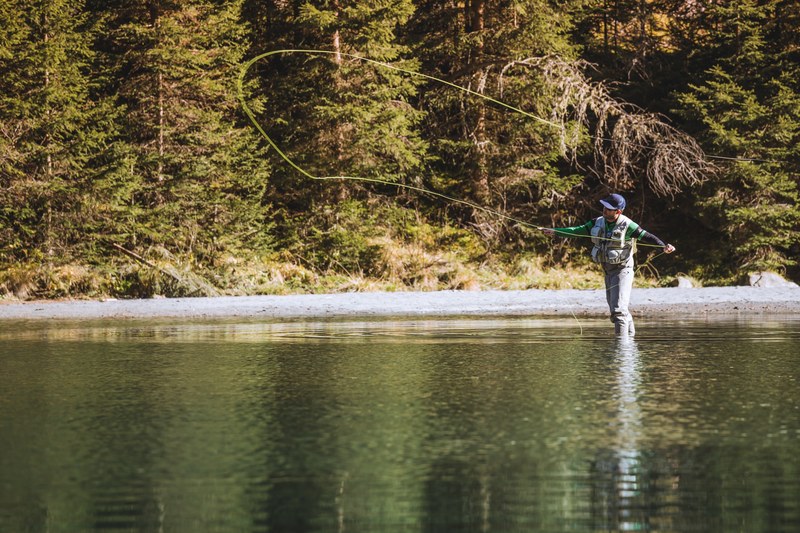 salmon autumn austrium and fly 4k