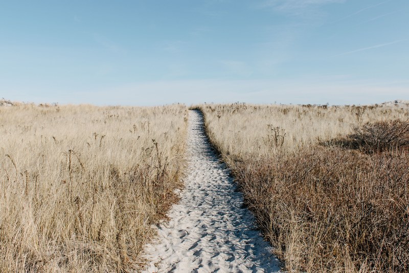 sand path with footprints through the grass field at crane beach, sand path through grass field 4k