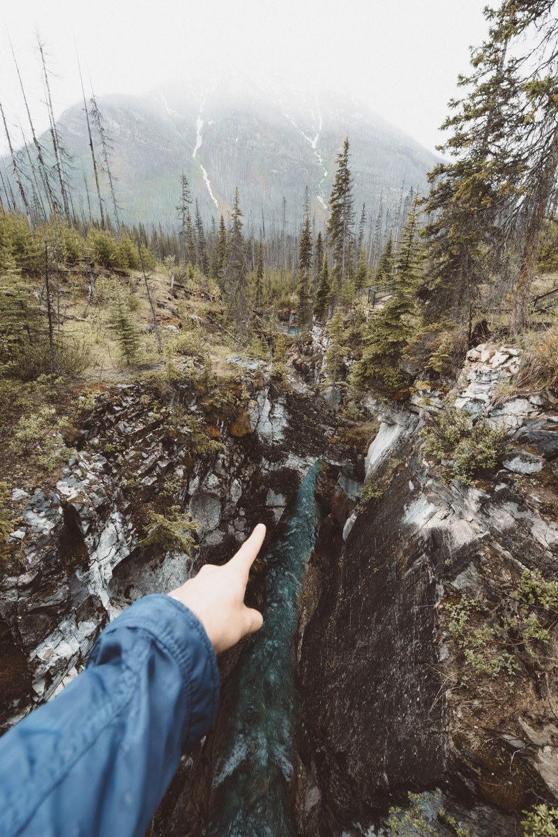 hand points toward adventure on a nature hike in the forest, pointing toward adventure 4k