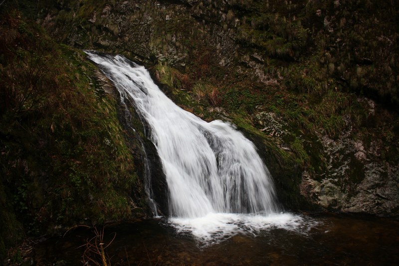 a small waterfall on a mossy slope in black forest, small frothy waterfall 4k