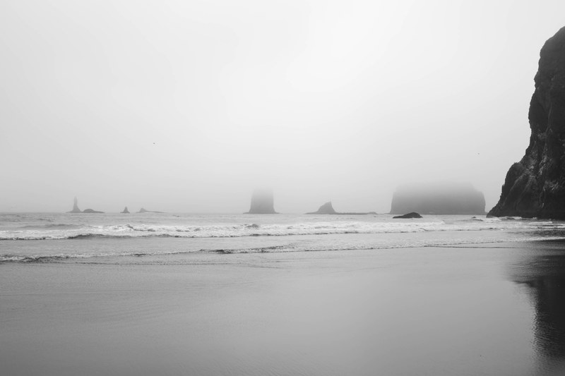 wafe la push washington and ocean 4k