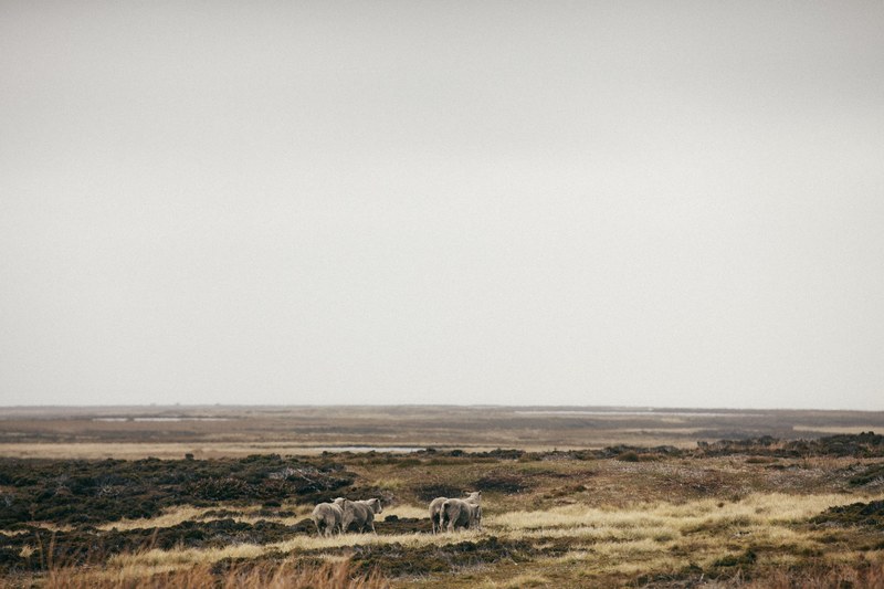 driving through falkland islands 4k