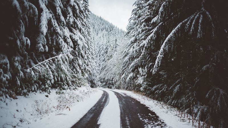 road, snow, trees, winter, 4k