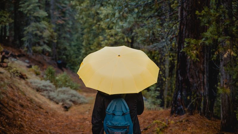 umbrella, person, walk, 4k