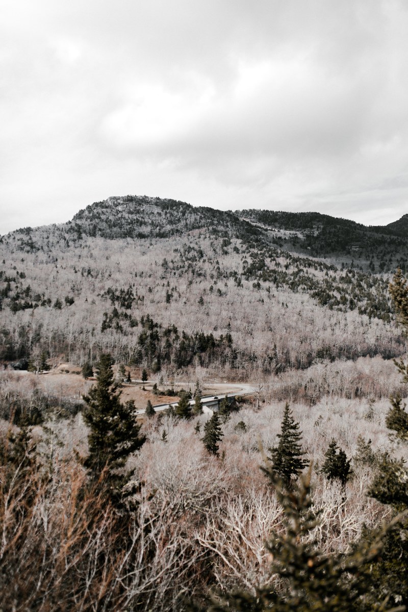 a road behind a dense forest in a hilly area in boone, look ahead 4k