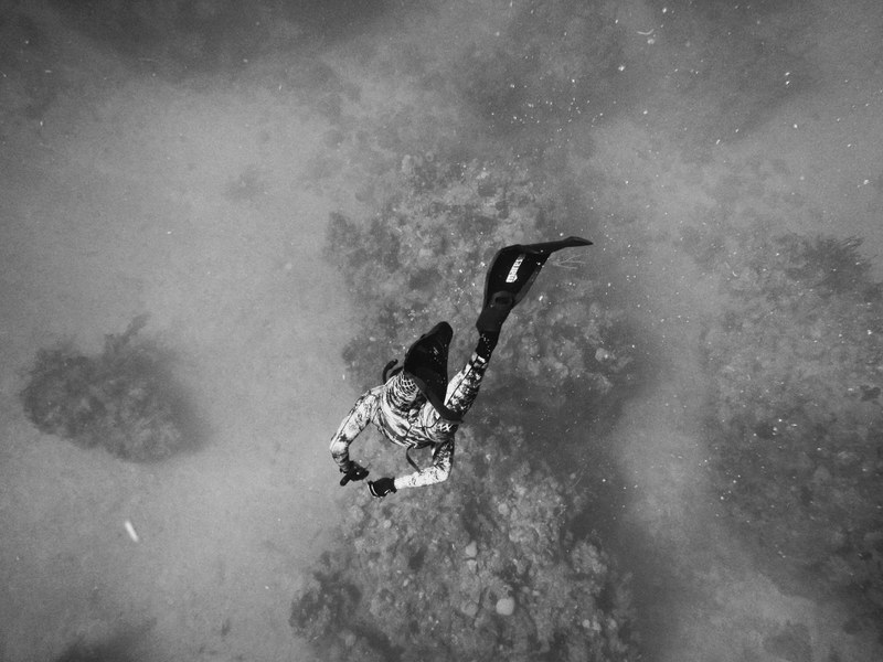 black and white shot of diver underwater in guantnamo bay, diver in guantnamo bay 4k