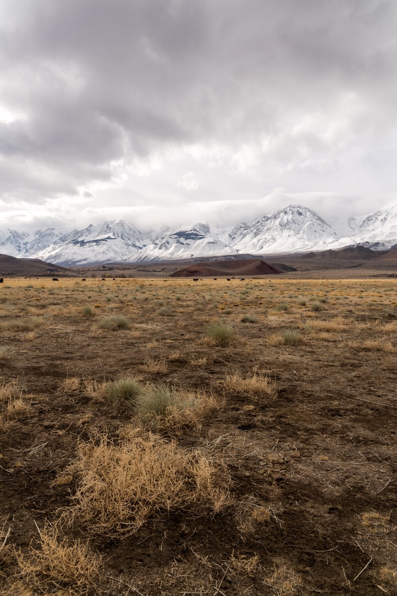 a vast dry plain stretching to the snow covered mountains on the horizon, white mountains on the horizon 4k