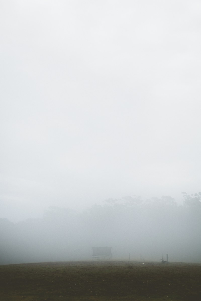 lost in the wilderness 4k