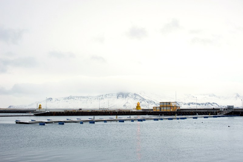 reykjavik harbor 4k