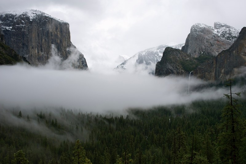 a cloud of mist over the wooded floor of yosemite valley in winter, rolling fog at yosemite 4k