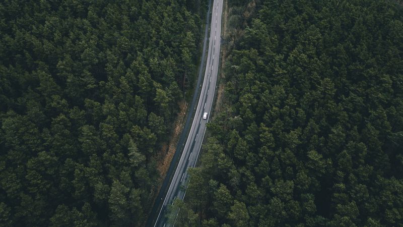 road, trees, top view, 4k