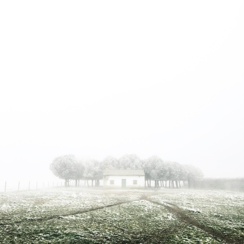 quaint cabin in a frosty field on a foggy morning in spain, frosty cabin escape 4k