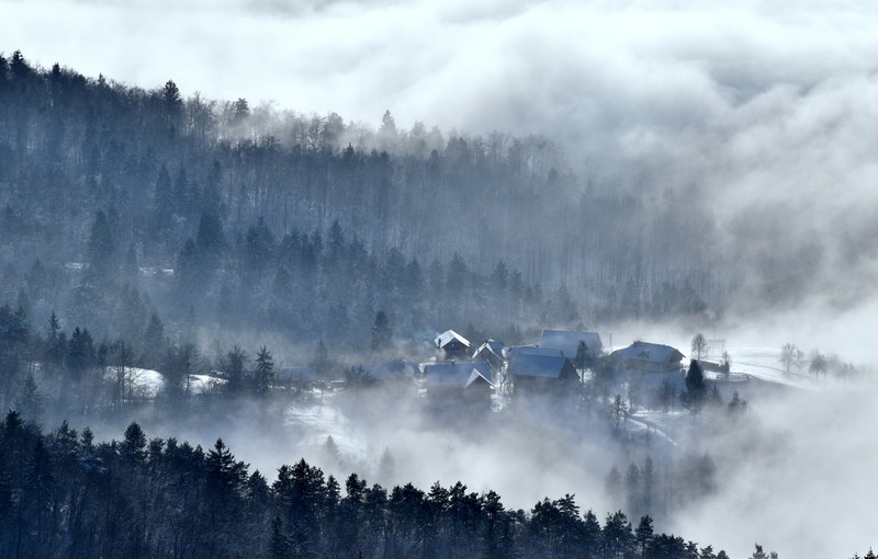 a village at the edge of a forest in dense fog in the winter, remote village in winter 4k