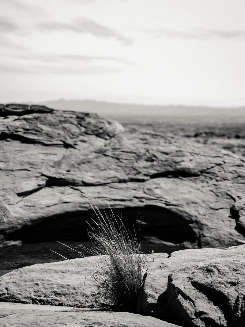 wild west 4k