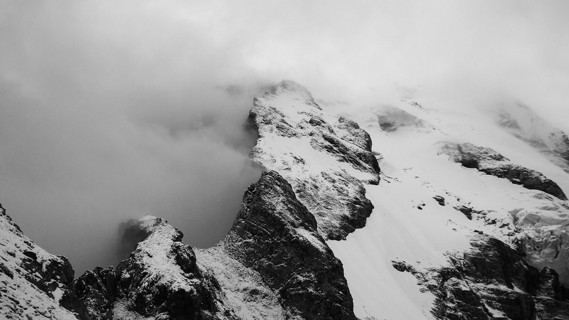 tree outdoor cloud and mountain 4k
