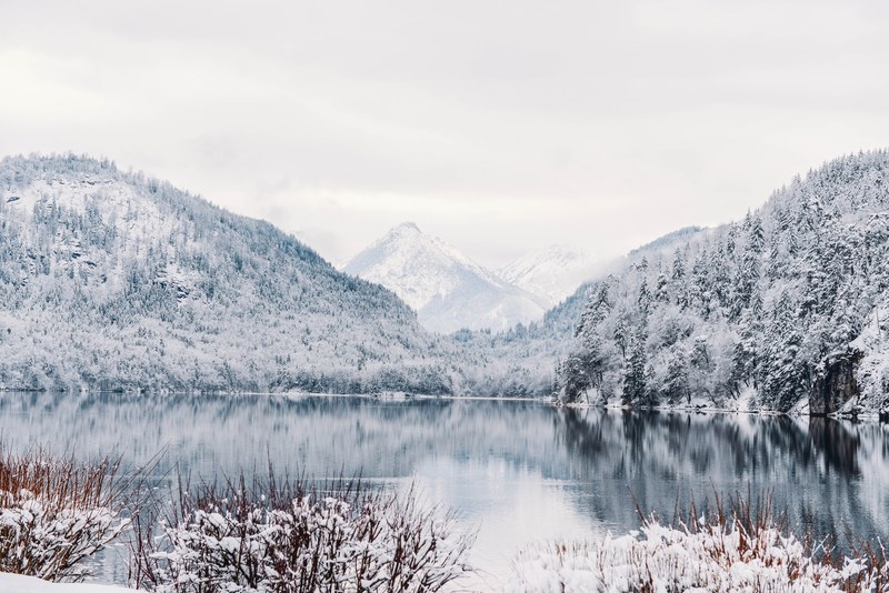 europe germany tree and mountain 4k