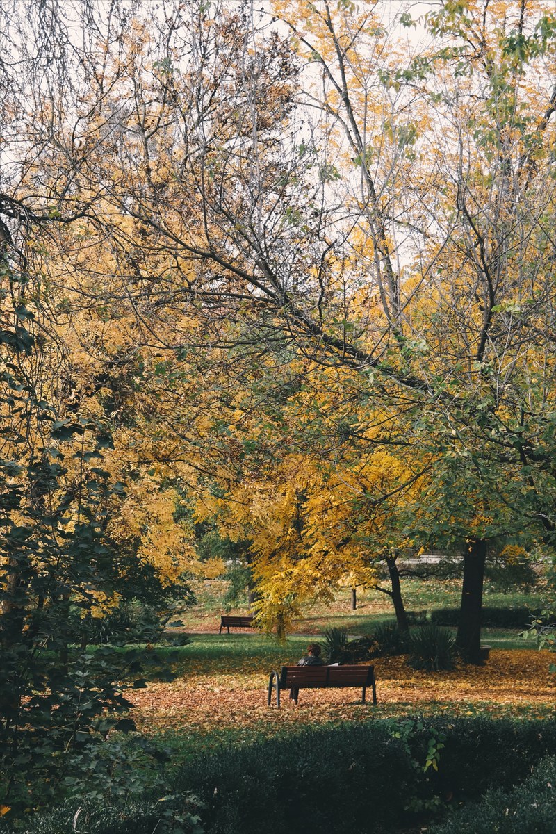 color sitting park and outdoor hd, 4k