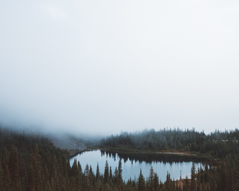 fog descending upon a small lake surrounded by trees, small tree lined lake 4k