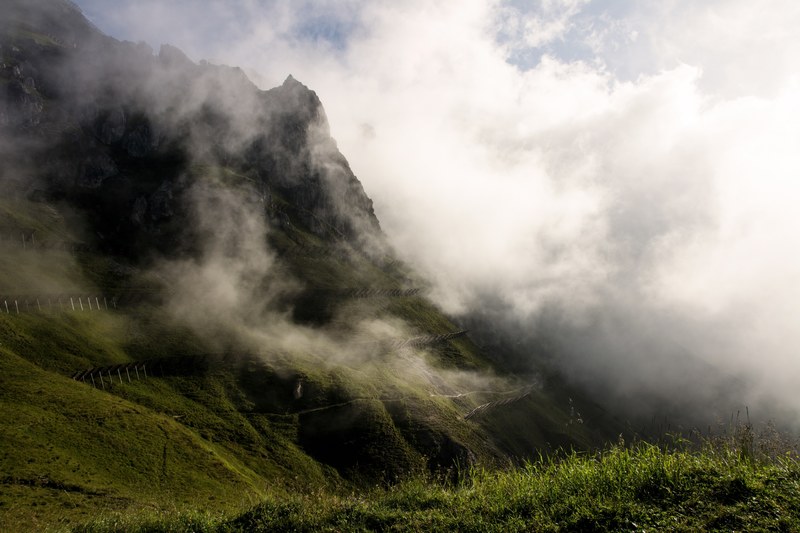 mist surrounds a green terraced slope of a mountain, fog over green terraces 4k
