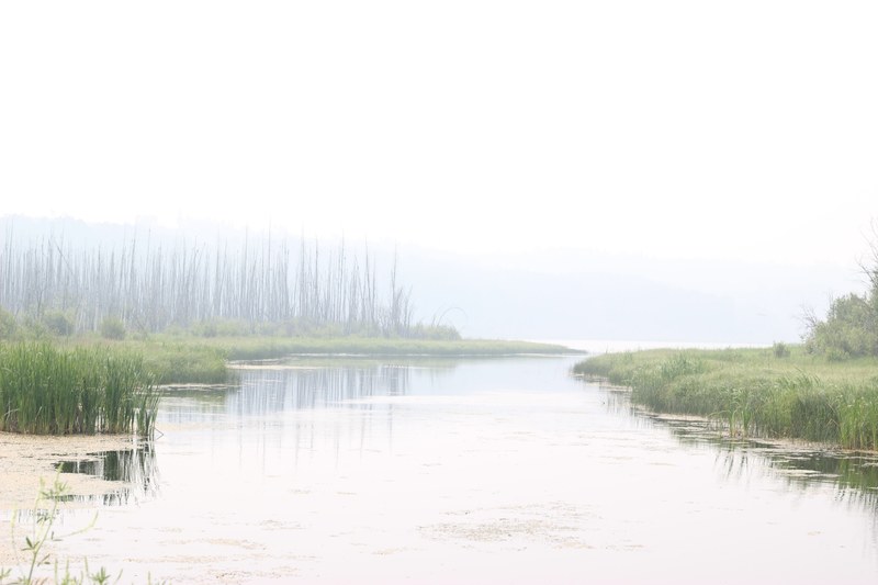 canada marsh water and smoke 4k