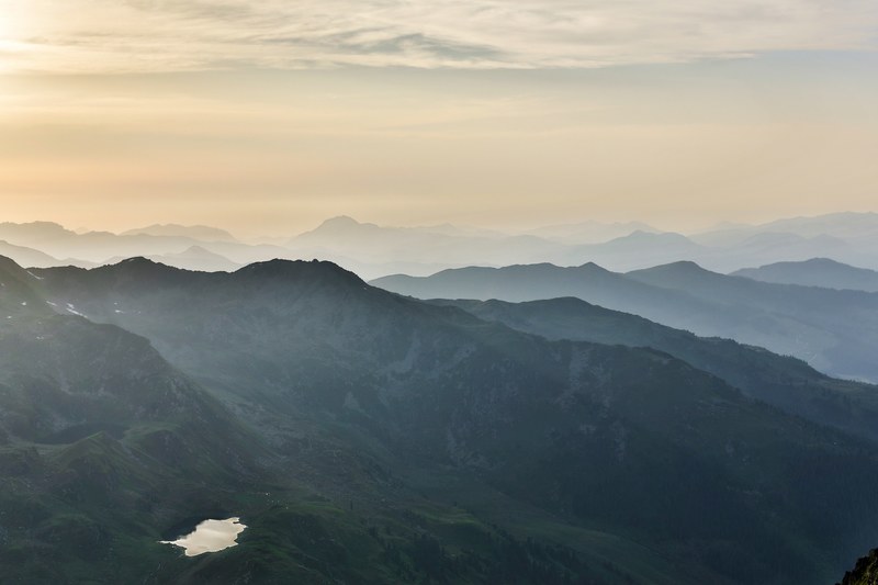 tree rock mountain and wilderness 4k
