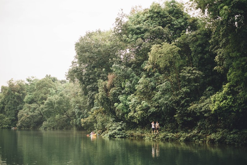 soothing tree adventure and hike 4k