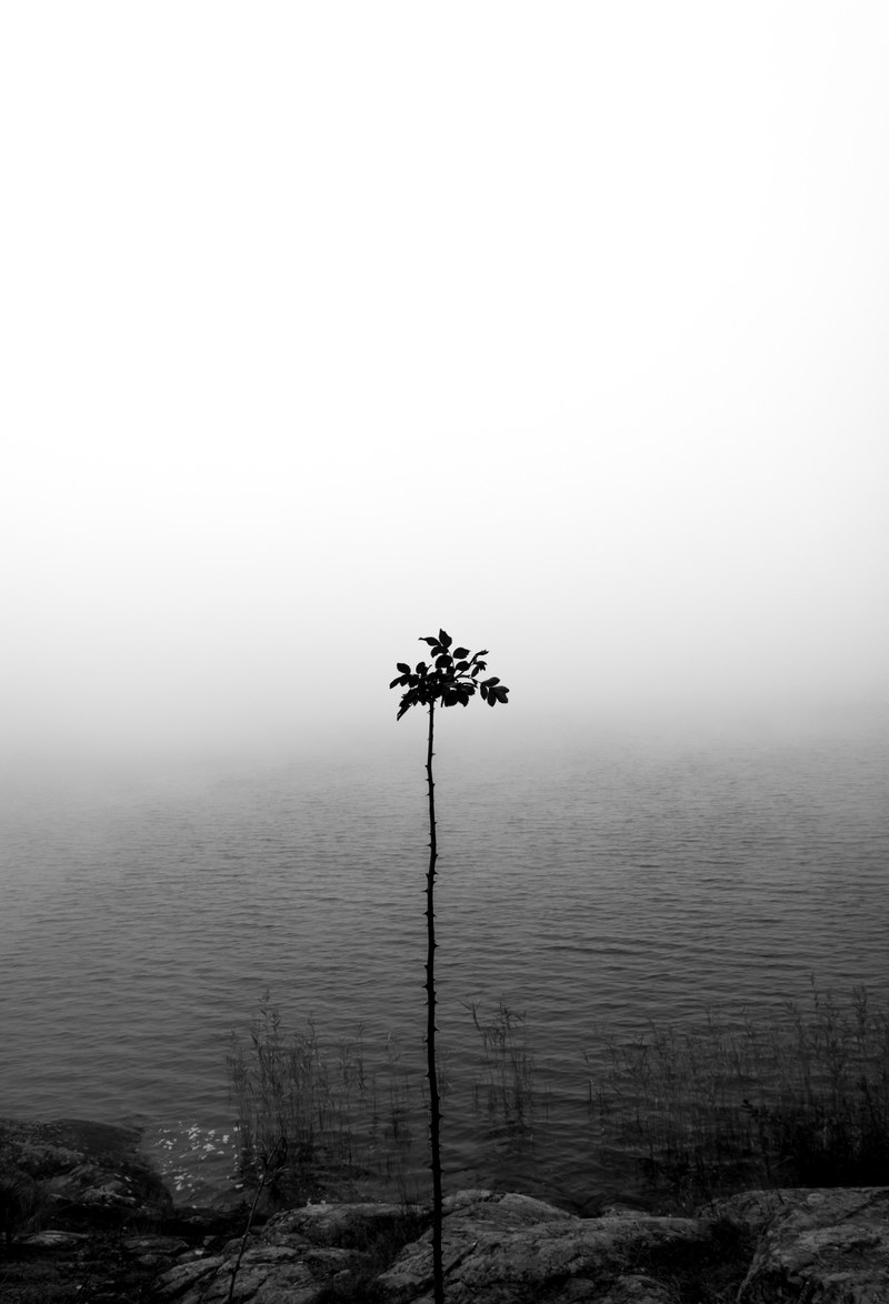 black amp white black and white mist and lake hd, 4k