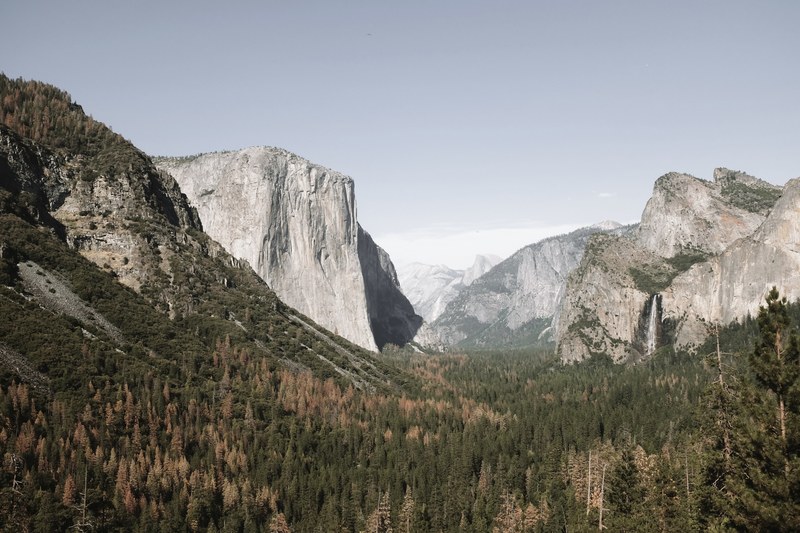 green and brown trees on the bottom of yosemite valley in the morning, yosemite valley in summer 4k