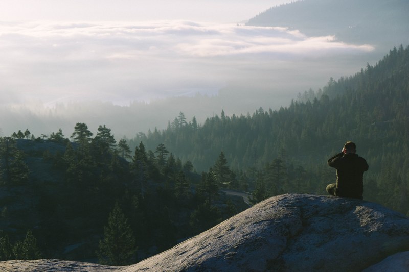 fog donner forest and water 4k