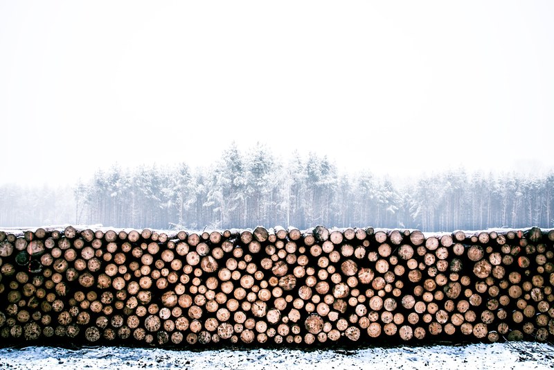 a stack of wood lays in front of a snowy and foggy forest, firewood for the winter 4k