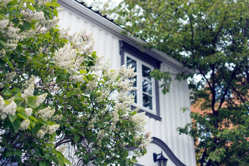 a white house with black trimming and pretty flowers out front, white house 4k