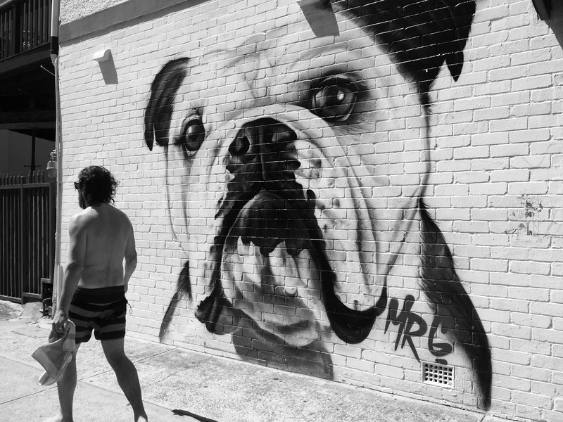 a white bulldog painted on a brick wall, _white bulldog mural 4k