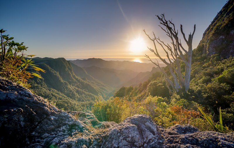 sun shines over foliage in a mountain valley landscape, mountain valley 4k