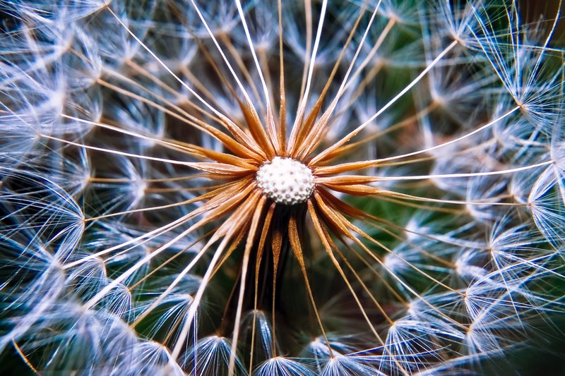 macro rural ecuador and entorno 4k