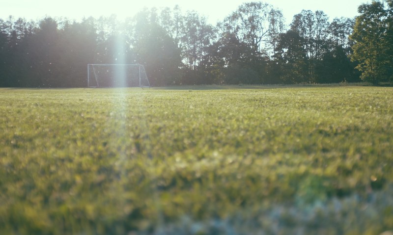 low angle view of a green grass field with a soccer goal by the woods on a sunny day in sweden, field with soccer goal near the forest 4k