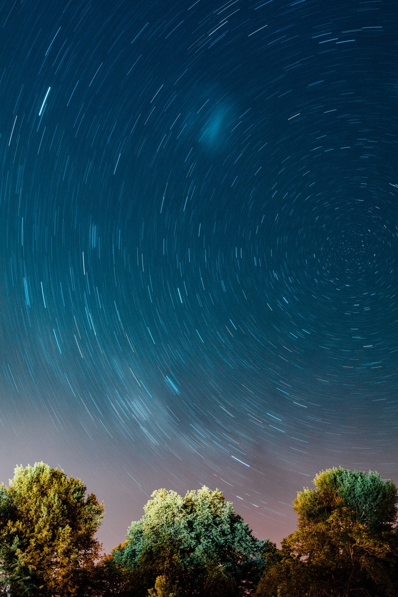 stars milky way tree and woodland hd, 4k