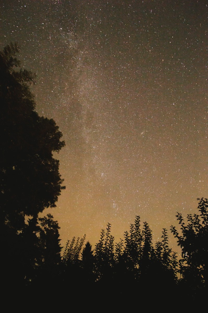 october andromeda 4k
