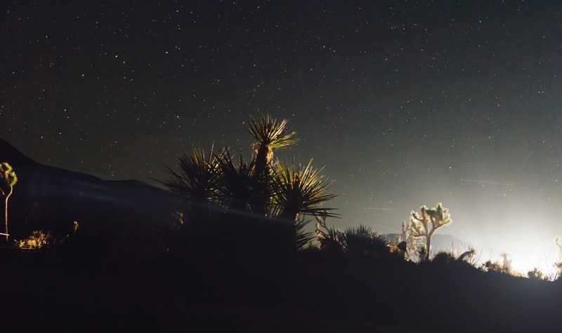 desert nights 4k