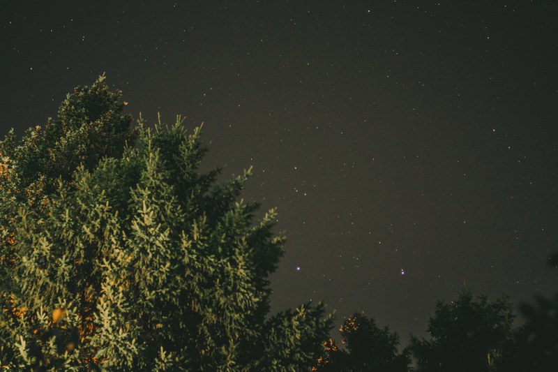 night night sky star and tree 4k