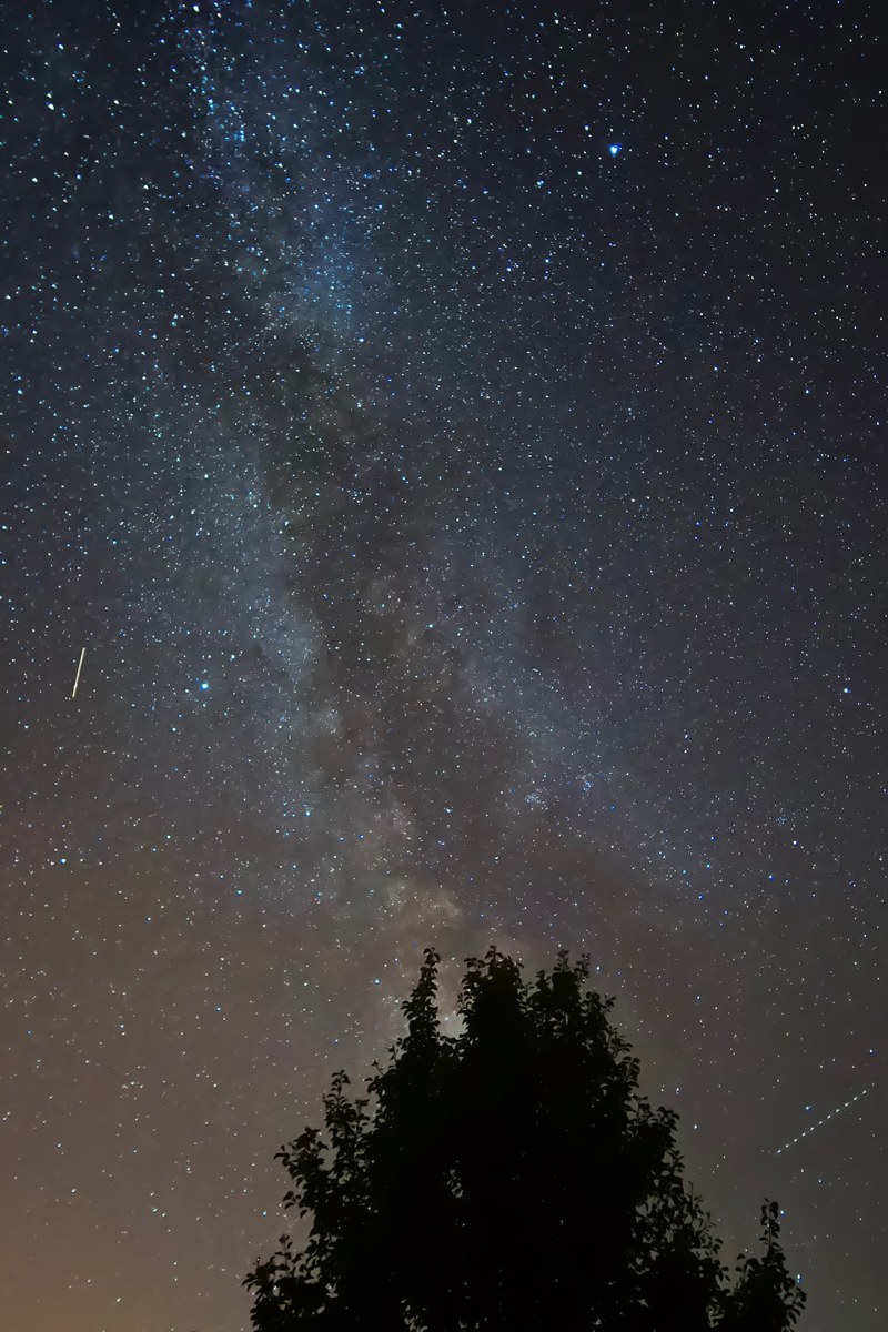 milky way from the garden 4k
