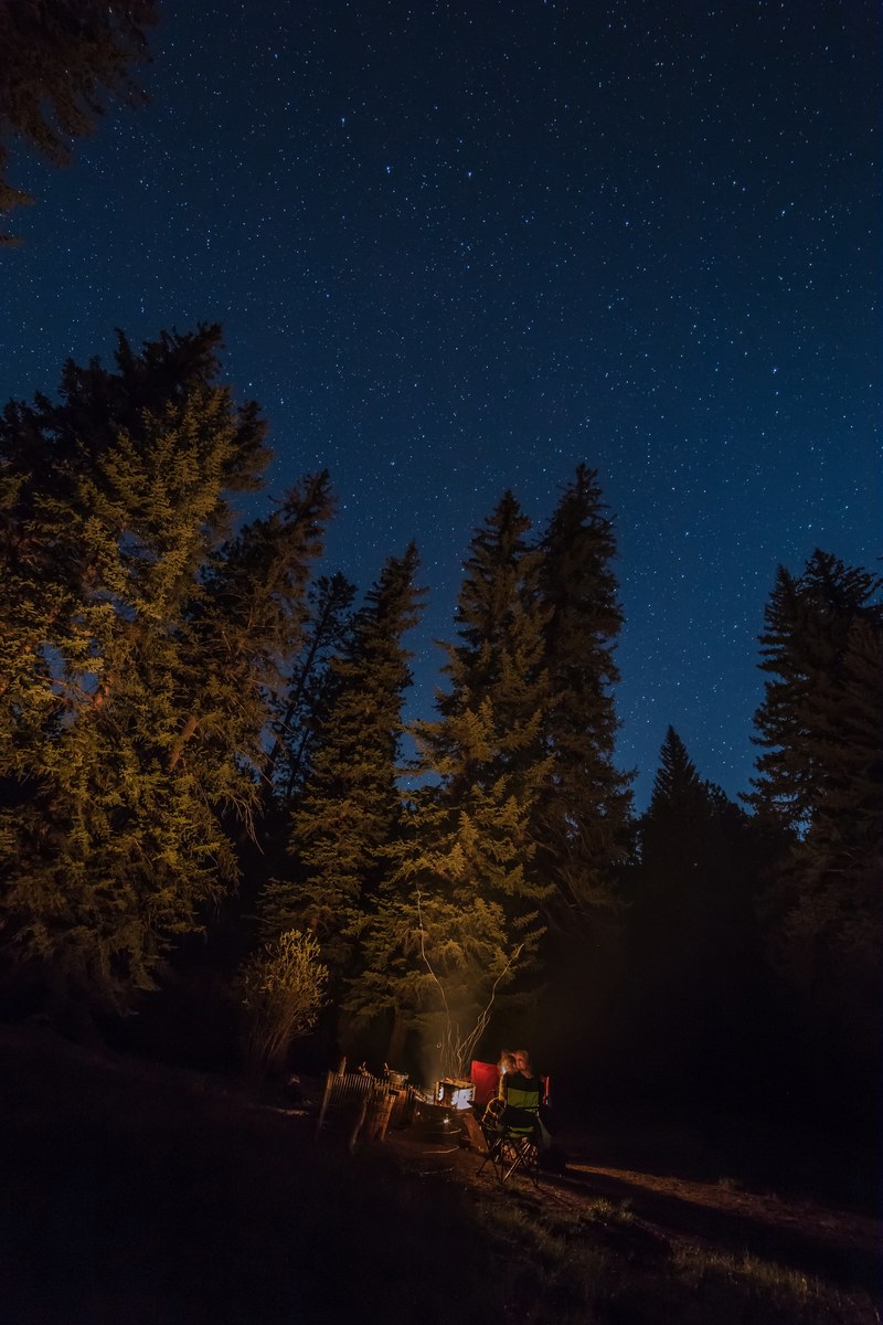 camping in the woods on a clear starry night, campers by a fire 4k