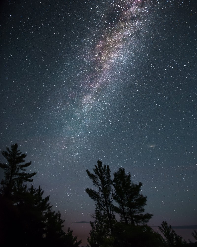 the milky way rises over the silhouette of trees at the huron mountain club, good night 4k