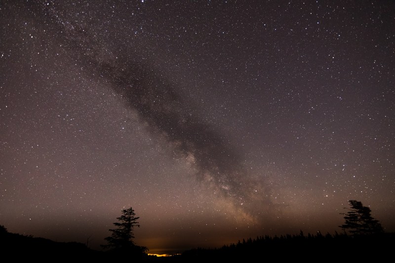 night sky stars and tree 4k